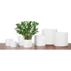 White Plant Pot - 14cm -Outdoor Garden 12807868 2014831954347081
