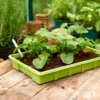 Seed Trays (Pack Of 4) -Outdoor Garden 12813215 1605037974365701