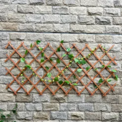 Sprout Garden Expanding Trellis 1.8m X 0.6m -Outdoor Garden 12814979 1145013038548254