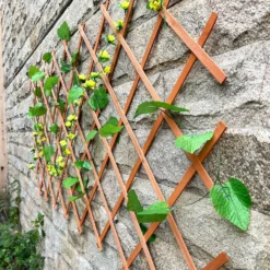 Sprout Garden Expanding Trellis 1.8m X 0.6m -Outdoor Garden 12814979 1255013038613717