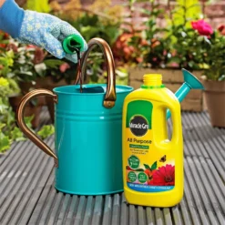 Miracle-Gro All Purpose Concentrated Liquid Plant Food - 1L -Outdoor Garden 12819549 1144832990379429