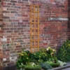Heavy Duty Trellis - 30cm - Pack Of 10 2 Heavy Duty Trellis - 30cm - Pack Of 10 -Outdoor Garden 12823390 7864831944744888