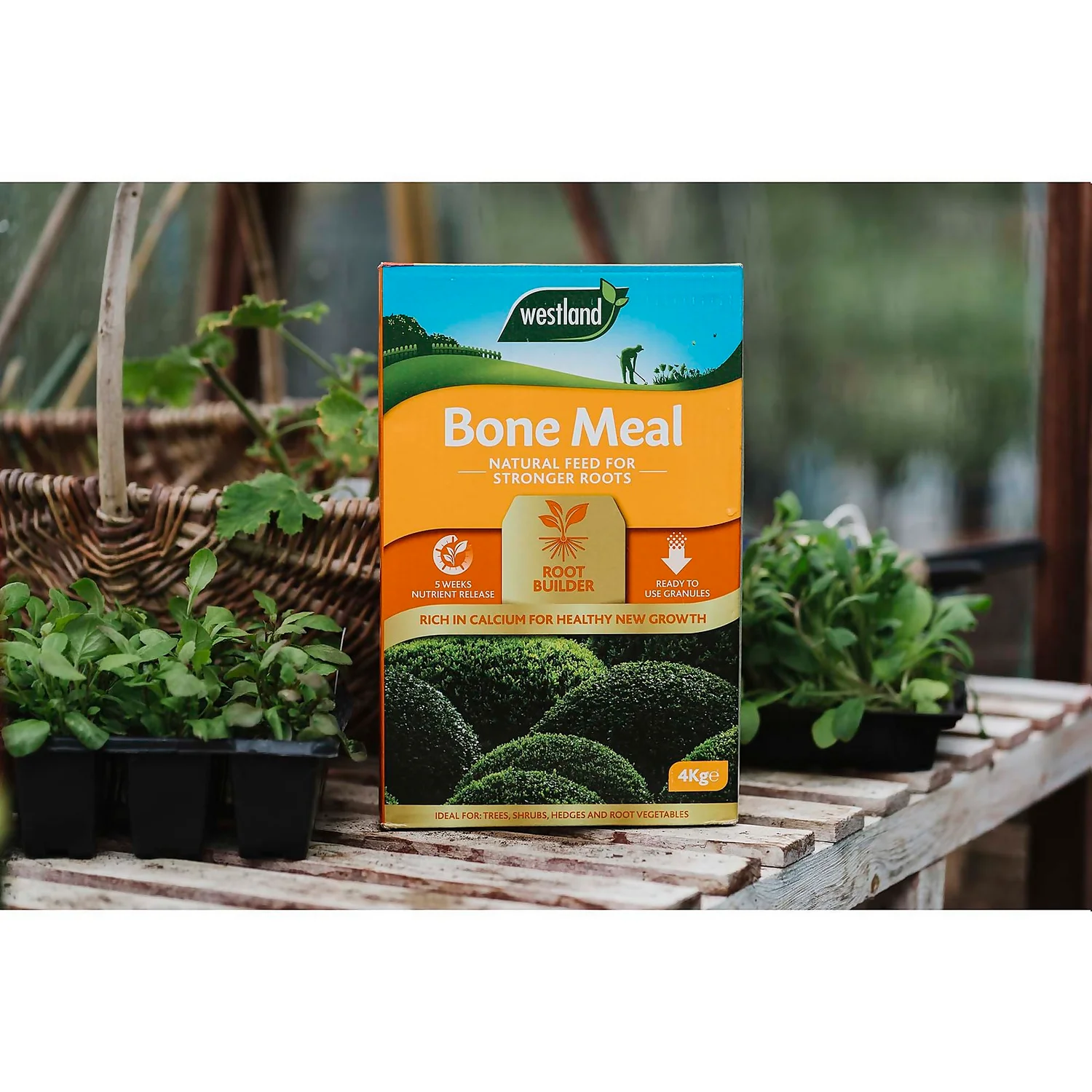 Westland Bone Meal Root Builder - 4 Kg 4 Westland Bone Meal Root Builder - 4 Kg - Image 2