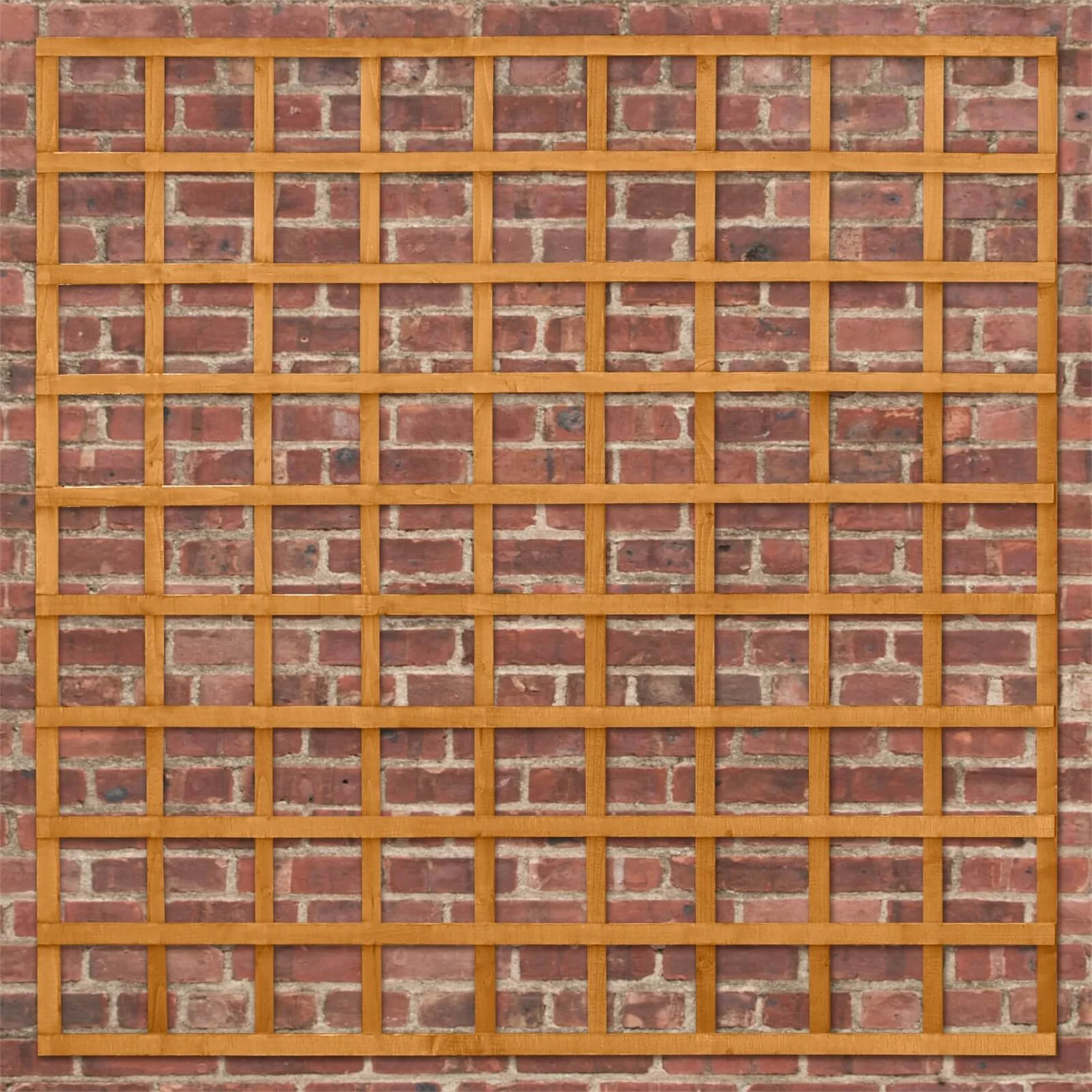 Heavy Duty Trellis - 183cm - Pack Of 10 5 Heavy Duty Trellis - 183cm - Pack Of 10 - Image 3