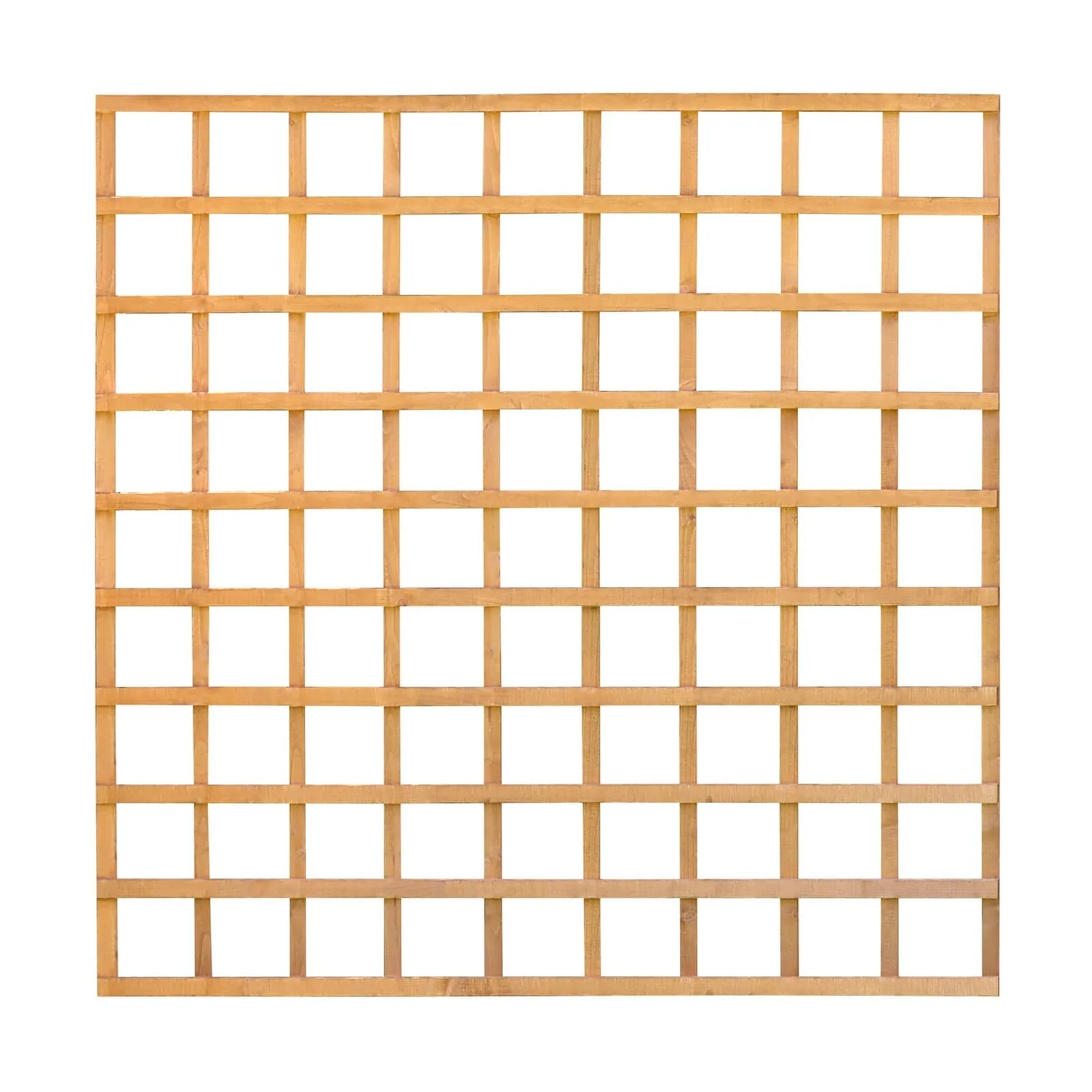 Heavy Duty Trellis - 183cm - Pack Of 10 8 Heavy Duty Trellis - 183cm - Pack Of 10 - Image 6