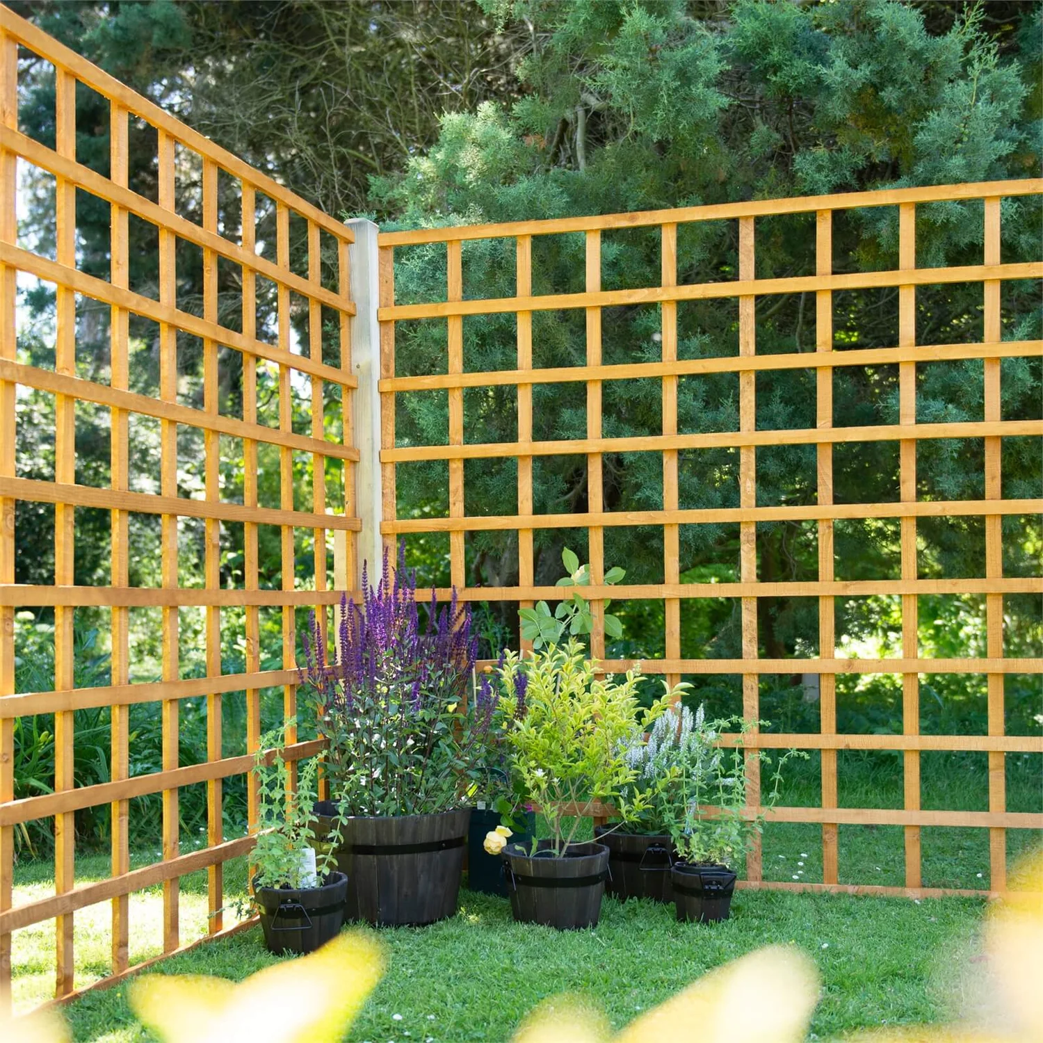 Heavy Duty Trellis - 183cm - Pack Of 5 4 Heavy Duty Trellis - 183cm - Pack Of 5 - Image 2