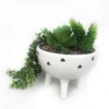 Trailing Plant In White Pot With Legs -Outdoor Garden 12833718 6054831603897446