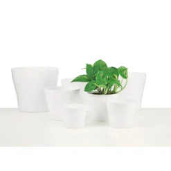 White Plant Pot - 17cm 6 White Plant Pot - 17cm -Outdoor Garden 12836465 3244832982673695