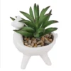 Artificial Alpaca Spikey Succulent -Outdoor Garden 12879279 1444858347936702