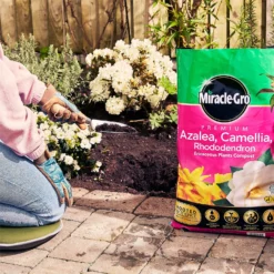 Miracle Gro Premium Azalea, Camellia & Rhododendron Ericaceous Compost - 40L -Outdoor Garden 12882812 1004843671886080
