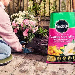Miracle Gro Premium Azalea, Camellia & Rhododendron Ericaceous Compost - 40L -Outdoor Garden 12882812 1404843671956442