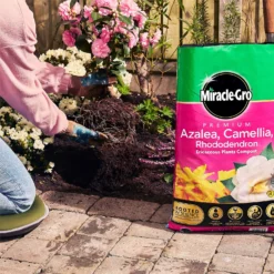 Miracle Gro Premium Azalea, Camellia & Rhododendron Ericaceous Compost - 40L -Outdoor Garden 12882812 1924843671918789