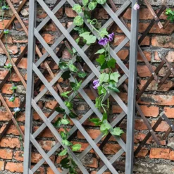 1.8m X 60cm Wooden Trellis Panel - Grey -Outdoor Garden 12885325 1525013038743302