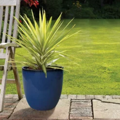 Chiswick Egg Imperial Terracotta Pot In Blue - 35cm -Outdoor Garden 12885407 1835058899120259