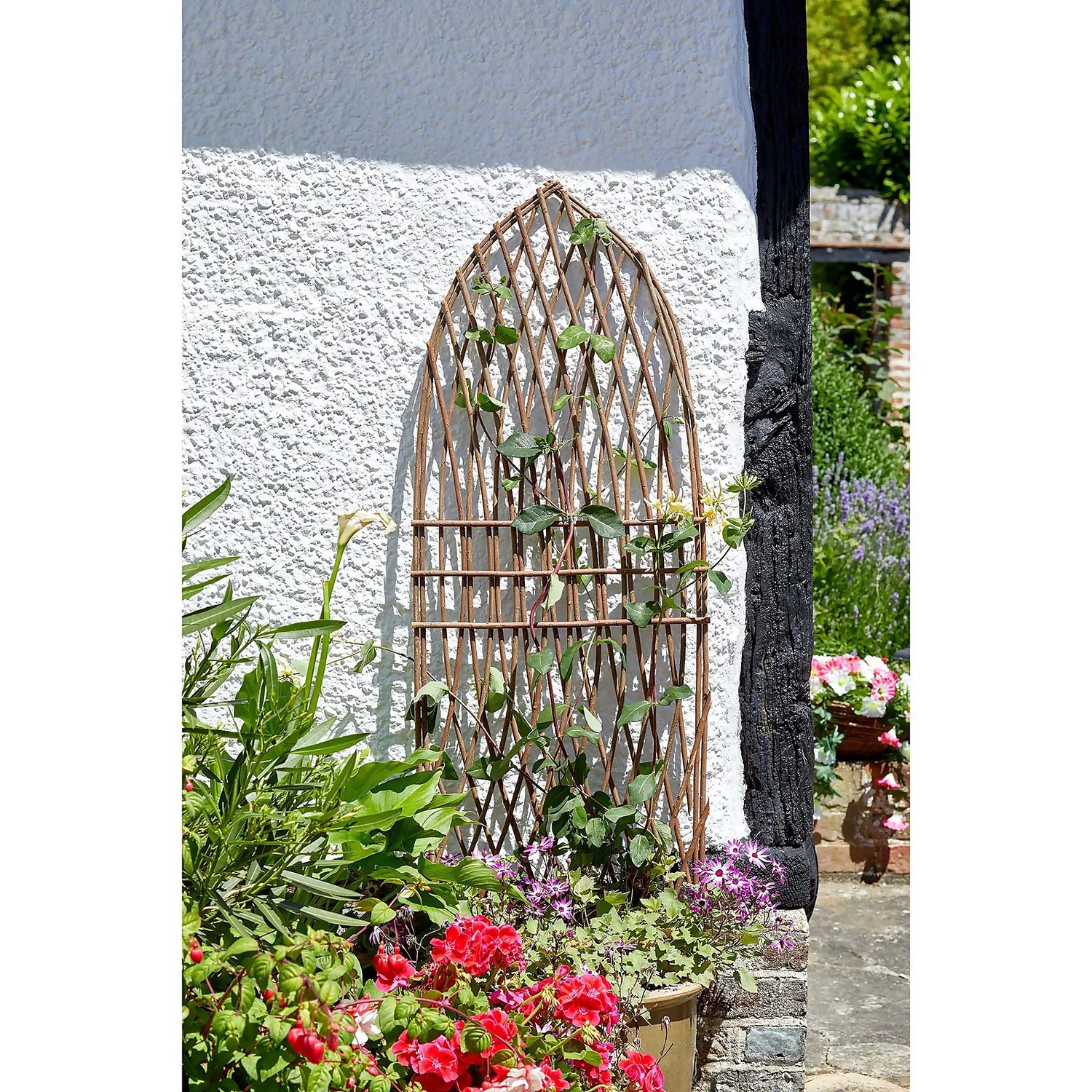 Minster Willow Trellis 1.2 X 0.45m 4 Minster Willow Trellis 1.2 X 0.45m - Image 2