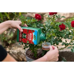Westland Rose Specialist Liquid Plant Food Concentrate - 1l -Outdoor Garden 12886481 7044936610878716