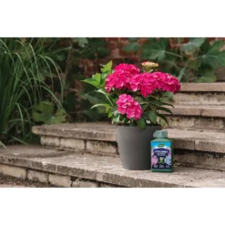 Westland Hydrangea Feed - 1l -Outdoor Garden 12886486 5014971590603901