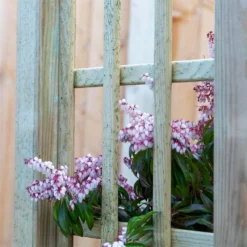 Mercia Curved Arch -Outdoor Garden 12888302 6134849860614286