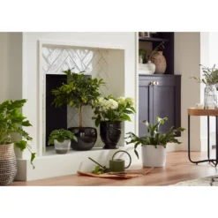 Hampton Moon Ceramic Pot - 14cm -Outdoor Garden 12890772 6174948242795534