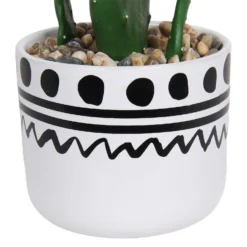 Cactus In Abstract Pot 13 Cactus In Abstract Pot -Outdoor Garden 12909502 2064869235687110