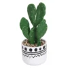 Cactus In Abstract Pot 1 Cactus In Abstract Pot -Outdoor Garden 12909502 7774869235493475