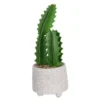 Cactus In Textured Pot -Outdoor Garden 12909506 1524869235473324