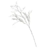 Silver Branch -Outdoor Garden 12968885 3614893783731799
