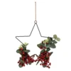 Hanging Star With Foliage And Berries -Outdoor Garden 13027994 1864893782771937