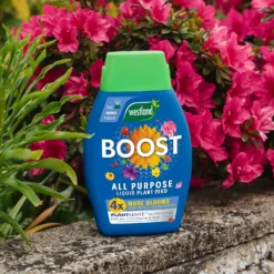 Westland Boost All Purpose Plant Food 1L -Outdoor Garden 13411841 8474971590810400