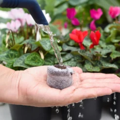 Coco & Coir Seed Germination Dots - 40mm -Outdoor Garden 13487129 3894919981363337