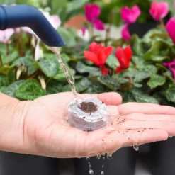 Coco & Coir Seed Germination Dots - 40mm -Outdoor Garden 13487129 7814919981385408