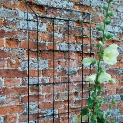 Agriframes Georgian Garden Wall Trellis - W 60cm XH 1m - Black -Outdoor Garden 13526275 1824935036191433