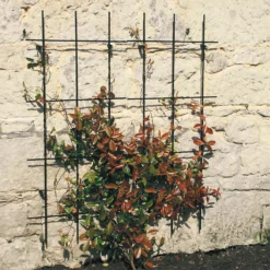 Agriframes Wall Mounted Garden Trellis (pack Of 2) - W 61cm X H 1.22m Per Panel - Black -Outdoor Garden 13526276 1074936305068682