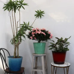 Glazed Finish Planter Mustard 30cm -Outdoor Garden 13928631 1245001956300424