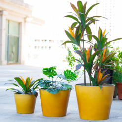 Glazed Finish Planter Mustard 30cm -Outdoor Garden 13928631 8775001956194656