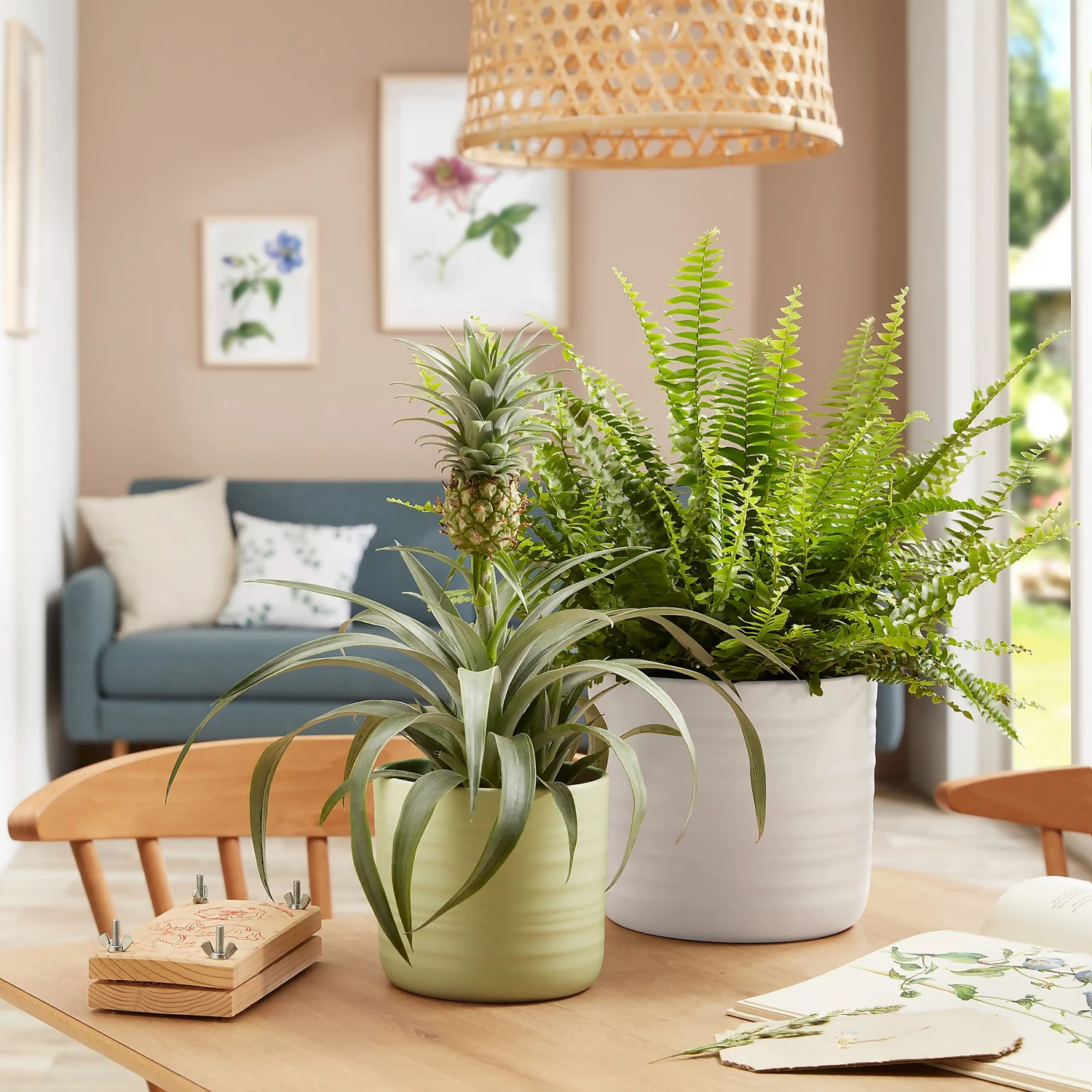 Scheurich Ripple Soft Green Indoor Pot - 20cm 4 Scheurich Ripple Soft Green Indoor Pot - 20cm - Image 2