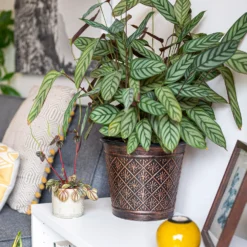 Vintage Allium Patterned Cone Pot - 37cm -Outdoor Garden 13973621 6475011239983391