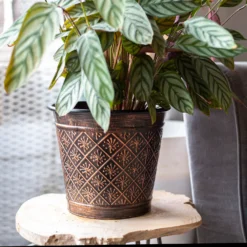 Vintage Allium Patterned Cone Pot - 37cm -Outdoor Garden 13973621 8485011239919857