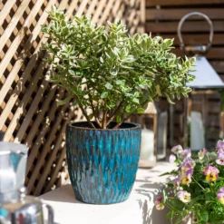 Chiswick Textured Pot Green - 38cm -Outdoor Garden 13973628 1615011238220594