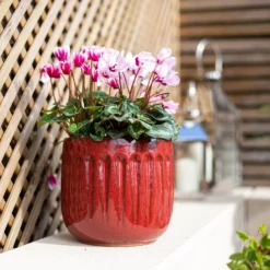 Chiswick Running Pot Red - 30cm -Outdoor Garden 13973649 1275011242746559