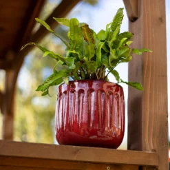 Chiswick Running Pot Red - 30cm -Outdoor Garden 13973649 7005011242786438