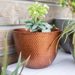 Suva Hammered Pot Copper - 31cm -Outdoor Garden 13973652 1715011805989134