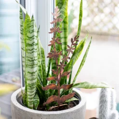 Floral Bronze Ground Stakes - 45cm (Assorted Designs) -Outdoor Garden 13981009 1695005324721013