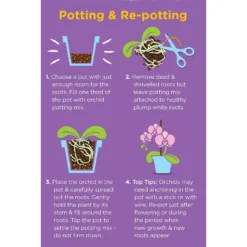 Westland Orchid Potting Mix Peat Free 8L -Outdoor Garden 14013784 4815003754410304