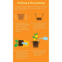 Westland Citrus Potting Mix Peat Free 8L -Outdoor Garden 14013785 1645003754507372