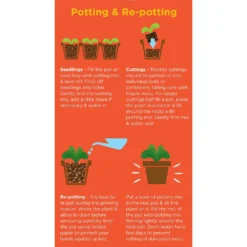 Westland Cacti & Succulent Potting Mix Peat Free 4L -Outdoor Garden 14013786 1245003754031248