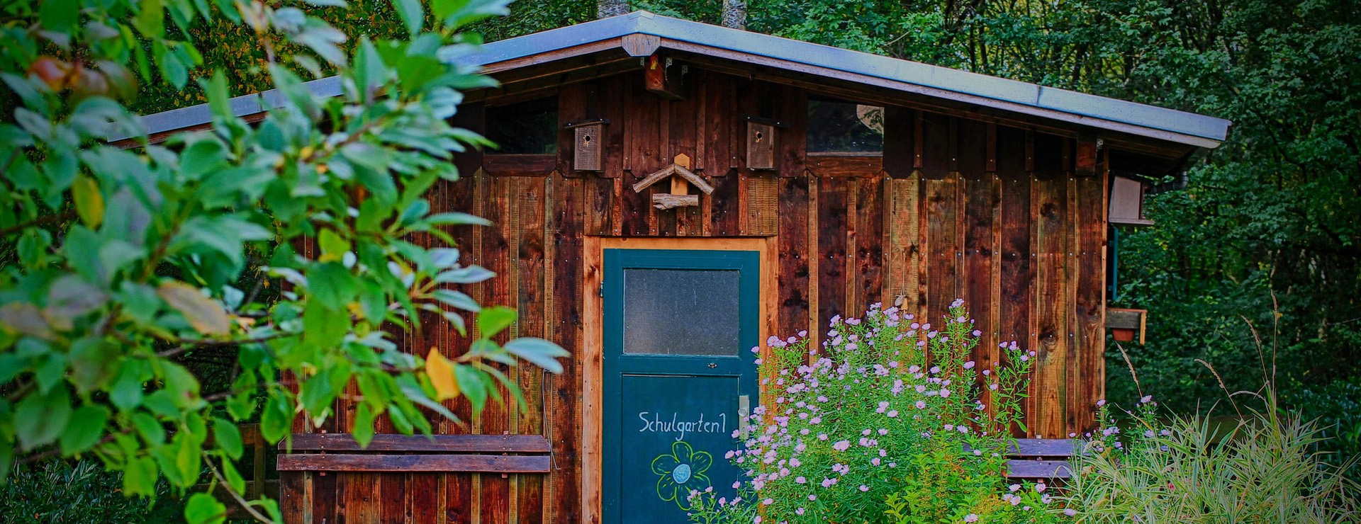 Outdoor Garden -Outdoor Garden school 4971178 1920